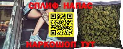 прущие грибы Ливны