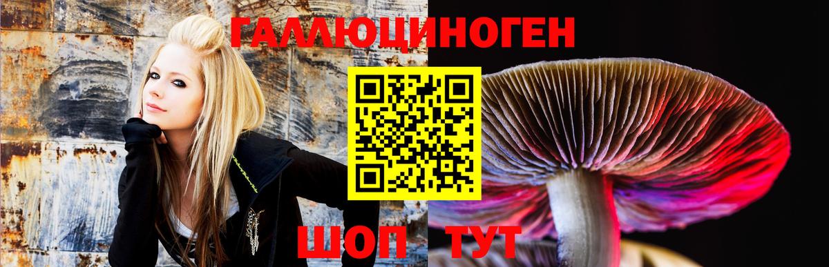 Псилоцибиновые грибы Psilocybine cubensis  Вход с VPN  Топки 